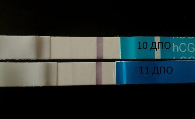 После 3 дней после овуляции тянет. После 3 дней после овуляции тянет