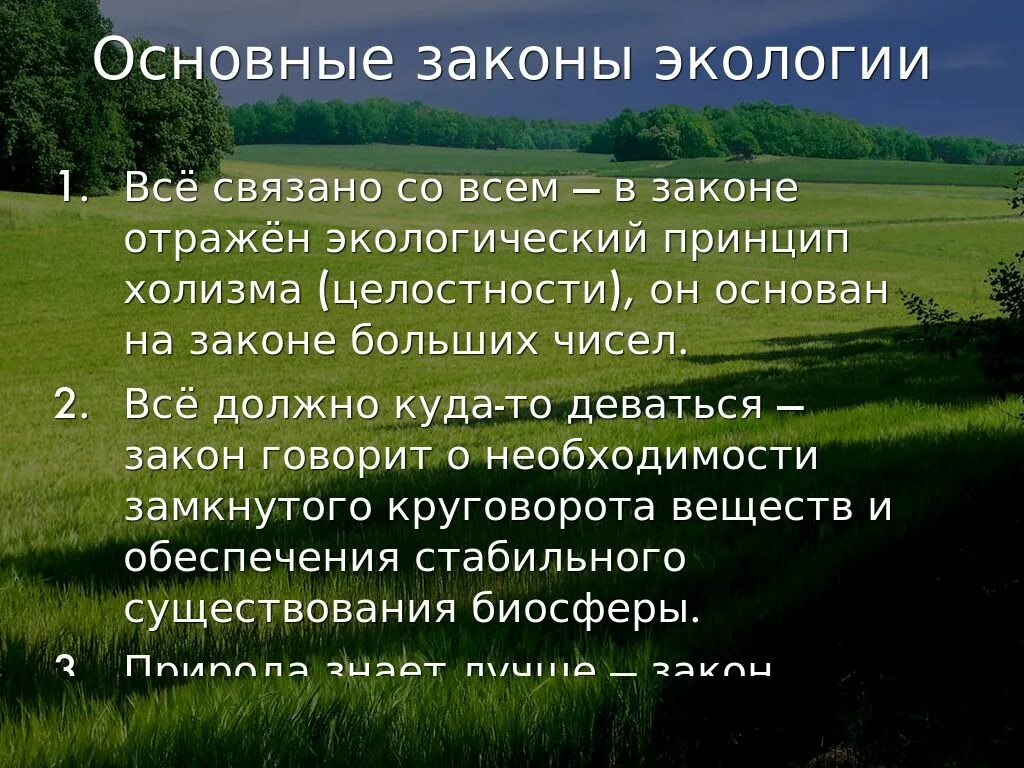 Примеры экологических законов. Основные экологические законы. Законы по экологии. Экологические законы биология. Законы экологии кратко.