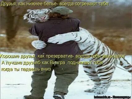 Защищать тебя всегда
