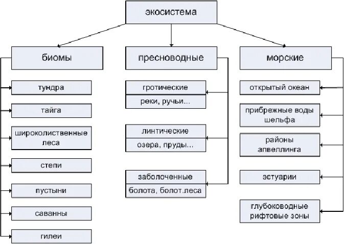 Какая из следующих экосистем является самой уязвимой. Классификация природных экосистем. основные типы экосистем схема. классификация наземных экосистем. биомы. основные типы природных экосистем.