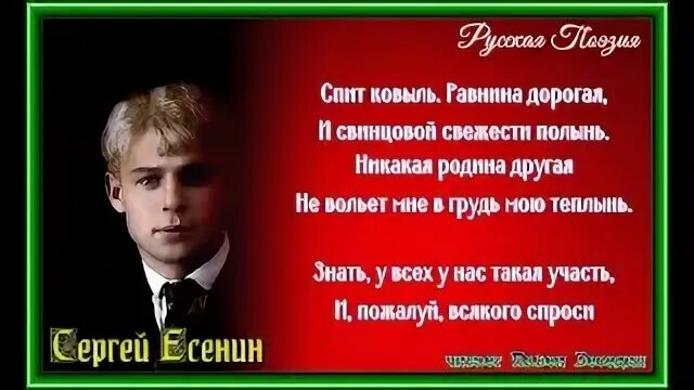 Есенин сны стихотворение