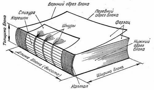 Книга ее назначение. Части книги как называются. Как называются все части книги. Как называется часть книги корешок. Из чего состоит книга структура книги.