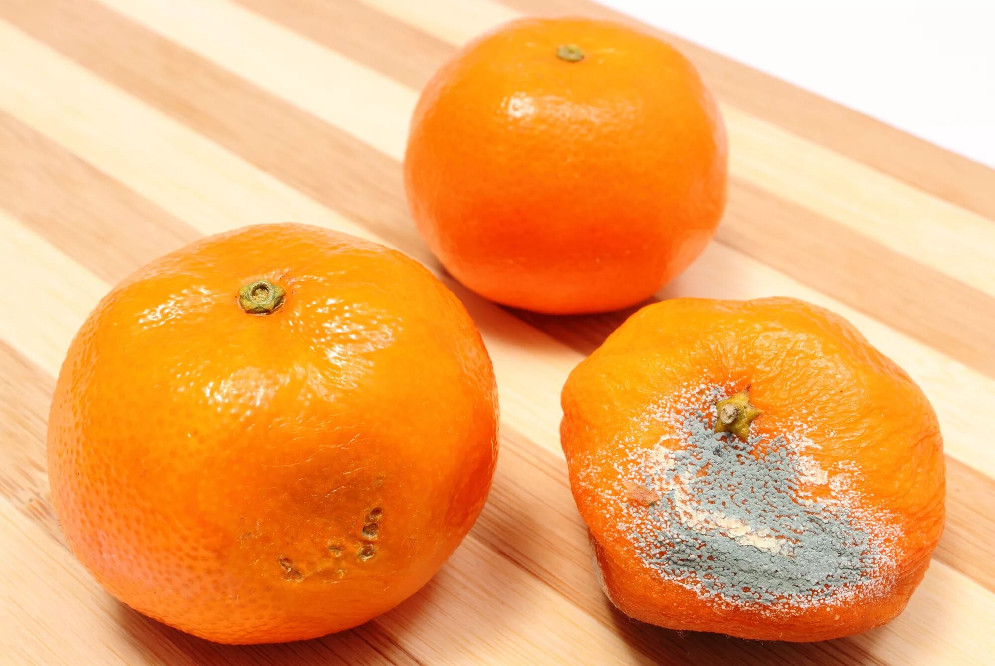 Плесень на мандарине. Плесень на апельсине. Испорченные мандарины. Плесень на фруктах. В пакете лежала мандарина