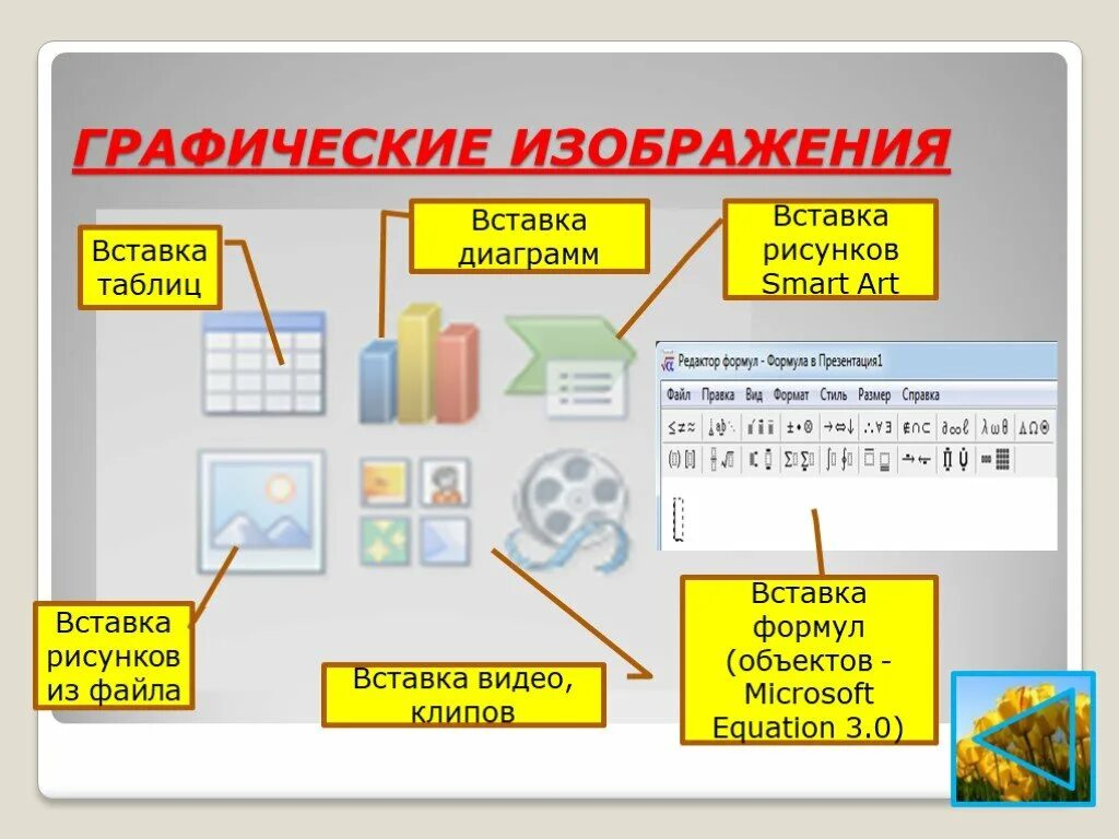 Основные виды графических данных. Вставка графических изображений. .Вставка в документ рисунков, диаграмм и таблиц. Вставка в презентацию графических объектов. Рисунки для вставки.