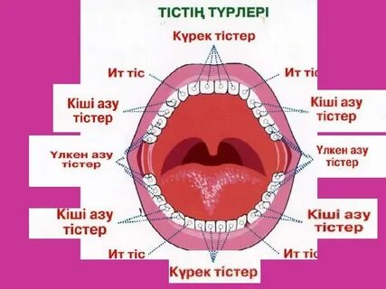 Интернетте құмарлықты порно көру