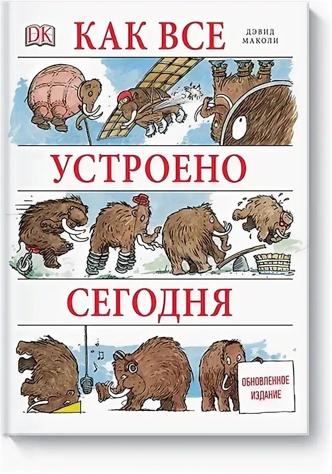Как все устроено дэвид маколи. Как все устроено дэвид маколи