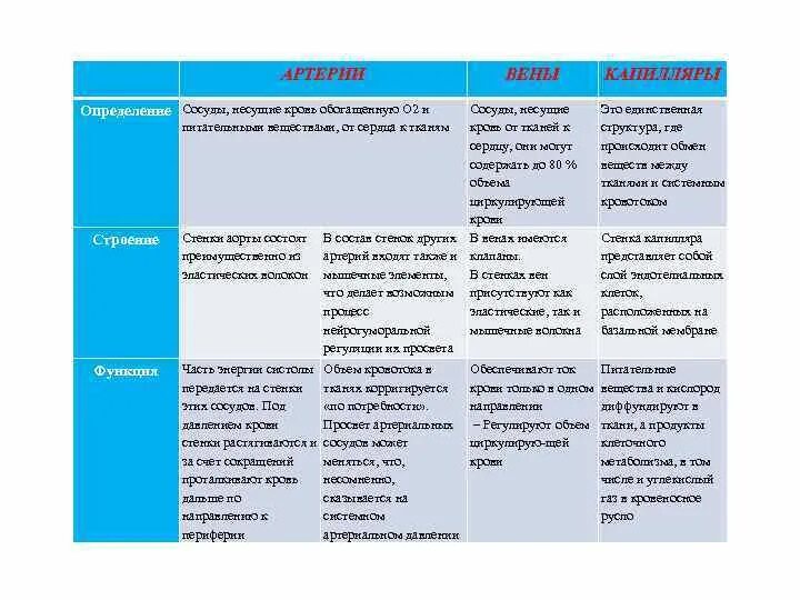 Типы кровеносных сосудов и их характеристика таблица. Кровеносные сосуды таблица. Строение и функции сосудов таблица. Сосуды особенности строения и функции. Артерии и вены определение