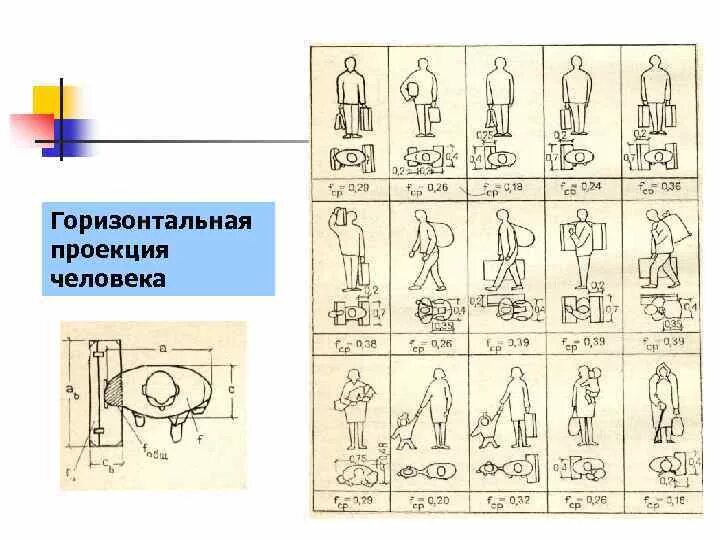 Площадь горизонтальной проекции. Площадь проекции человека. площадь проекции человека в зимней одежде. проекции человека на горизонтальную.