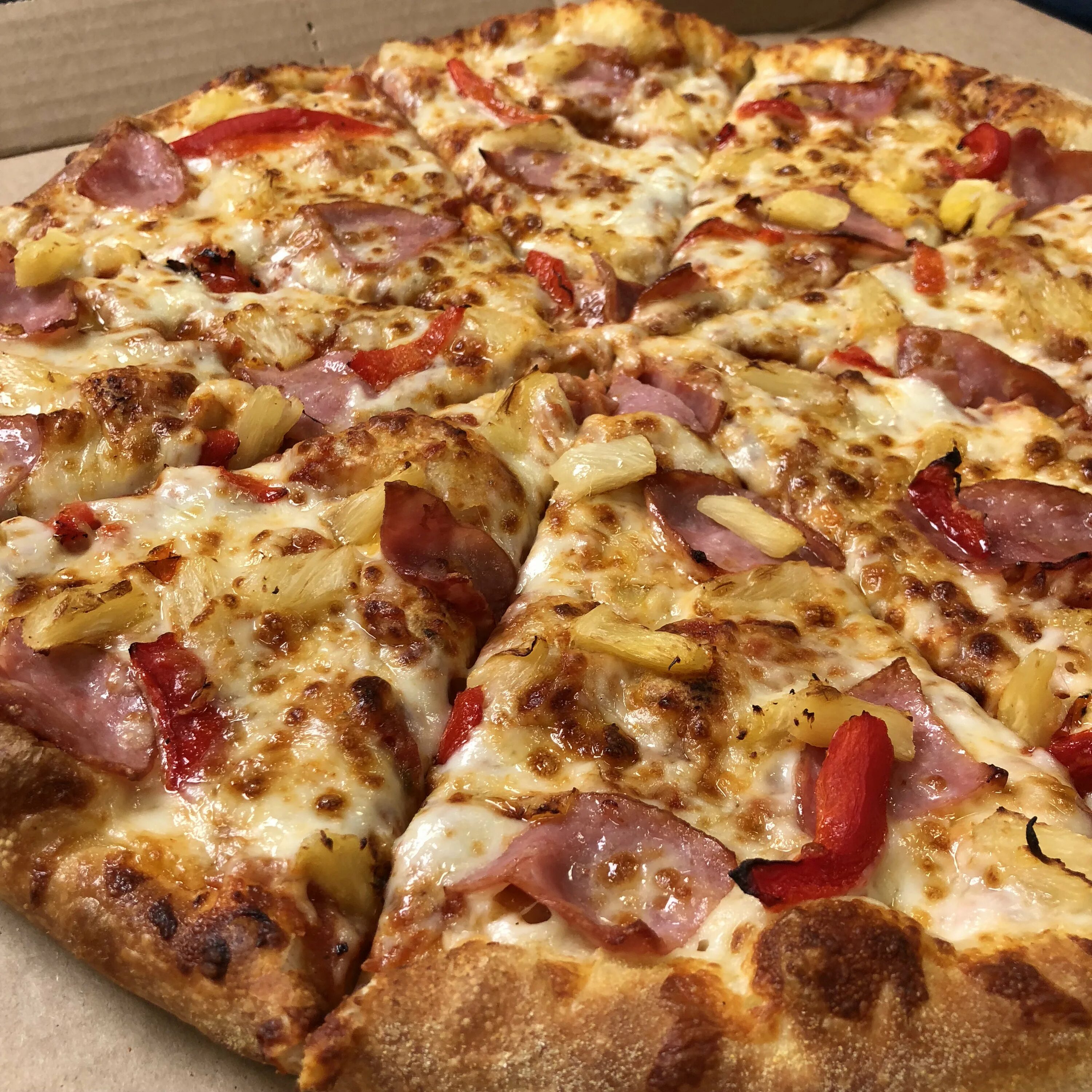 Идеальная домашняя пицца. Мясная пицца Доминос. Деревенская пицца Доминос. Доминос пицца большая пицца. Доминос сырная пицца.