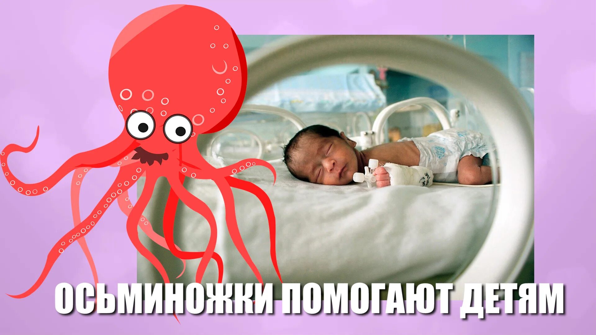 Помоги папам осьминогам найти своих детей. Осьминог для недоношенных детей. новорожденный осьминог. новорожденные осьминожки. осьминог для новорожденных.