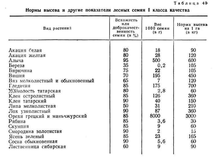 Сроки посева хвойных пород. Норма высева семян сосны. Нормы высева семян лиственницы сибирской. Нормы высева сосны обыкновенной кг на 1 га. Норма высева семян хвойных пород.