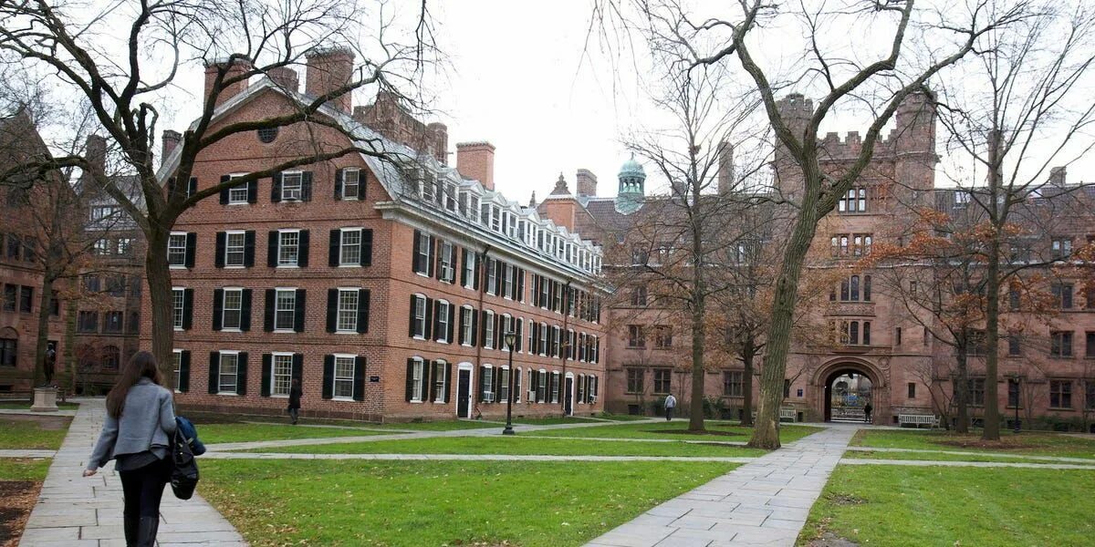 What is university