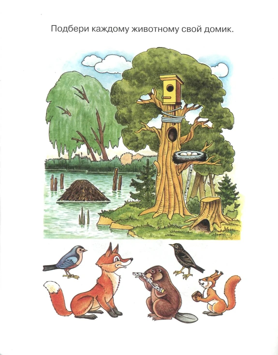 задания по окружающему миру для дошкольников. окружающий мир задания для дошкольников. окружающий мир для дошкольников 4 года. окружающий мир для дошкольников 4 года. тестовые задания для детей 4 лет.