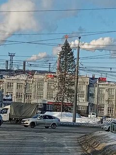 Елка в новокузнецке