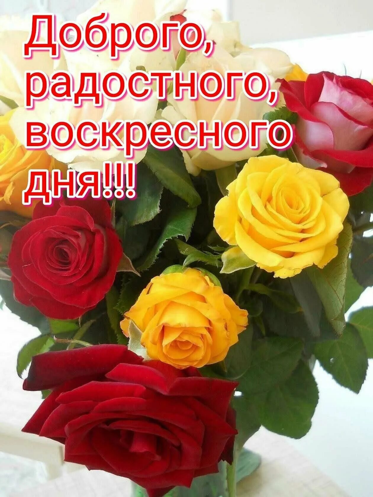 Доброе утро здоровья и удачи. Добрый день. Здоровья и хорошего настроения. Доброе утро с пожеланиями здоровья. Хорошего дня и прекрасного настроения.