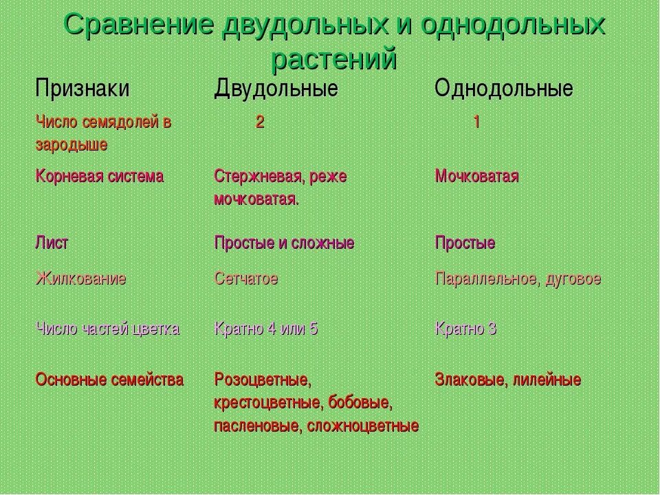 Отличия однодольных и двудольных растений таблица. Признаки растений класса двудольных и однодольных таблица семейства. Признаки однодольных и двудольных растений таблица. Отличие однодольных от двудольных растений таблица 6 класс. Приведите по три примера растений однодольные хвойные