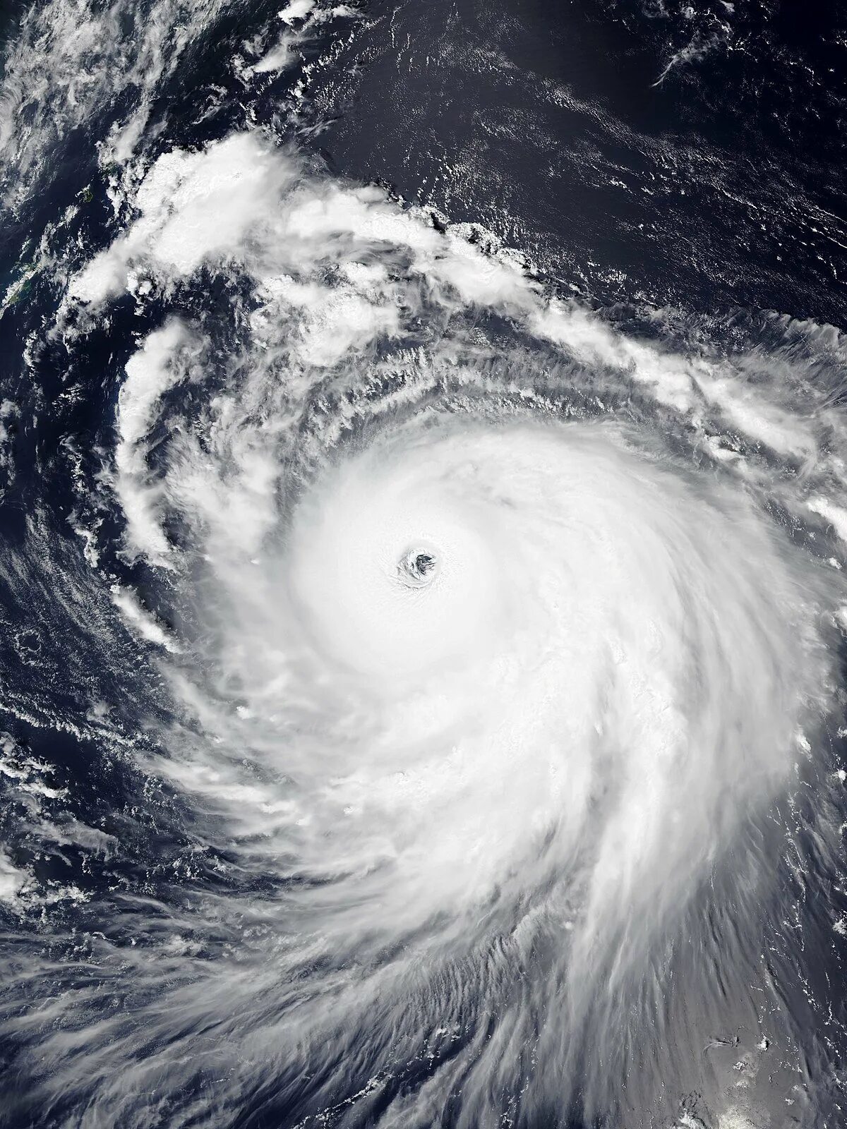Тайфун в море. Тайфун 2020. Тайфун картинки. Тайфун на море фото. Тайфун море