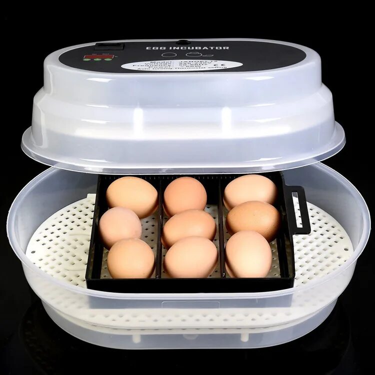 Купить инкубатор для яиц кур. Инкубатор 12 Egg incubator. Инкубатор Egg incubator. Mini Egg incubator на 12 яиц. Fully Automatic Egg incubator.