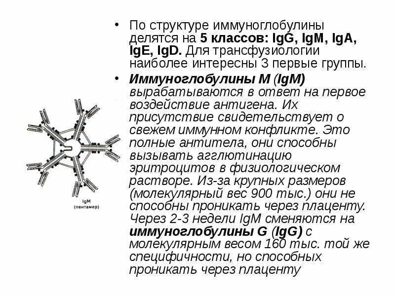 Определение иммуноглобулинов класса g. Igm антитела строение. иммуноглобулин класса igm, iga, ige, igd. иммуноглобулины ig g ig m ig e. классы антител igg, igm, iga,ige..