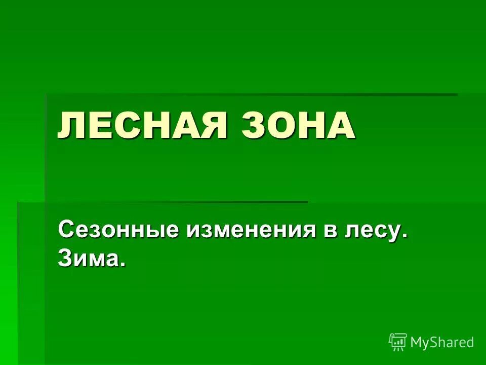 сезонные изменения. сезонные изменения в лесу. дерево в разные месяцы осени. сезонные изменения в природе лето. сезонные изменения в лесу.