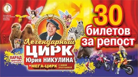 Цирк у мегаторга