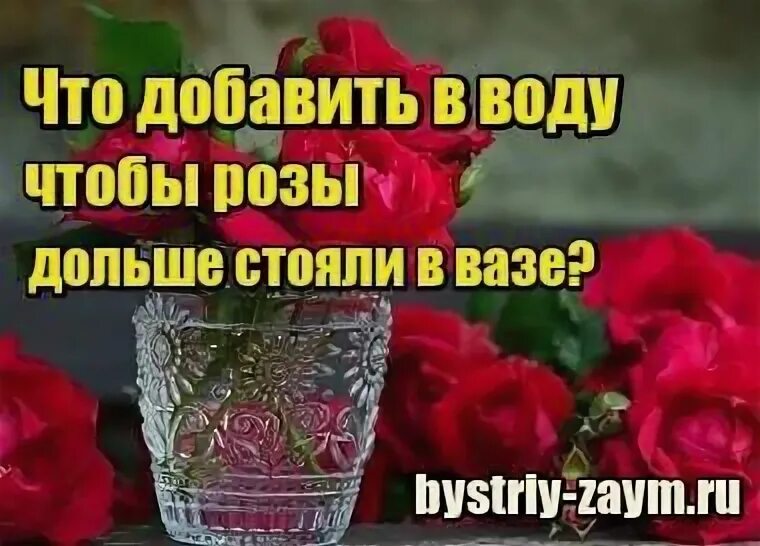 Розы ставить в холодную воду. Что добавить в воду чтобы розы дольше стояли. Что добавить в воду для роз чтобы дольше. Чтобы розы дольше стояли в вазе. Что добавить в воду чтобы розы дольше стояли в вазе.