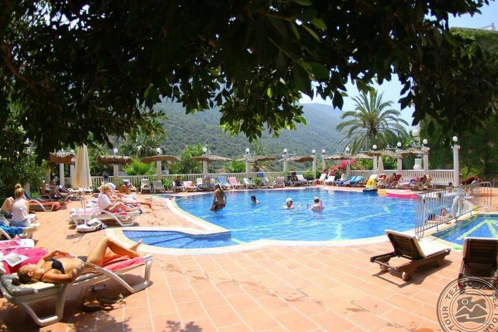 Flamingo hotel oludeniz. Фламинго отель Олюдениз. Flamingo Hotel Oludeniz 3*. Отель Flamingo Hotel Oludeniz Турция. Фламинго отель Олюдениз 4.