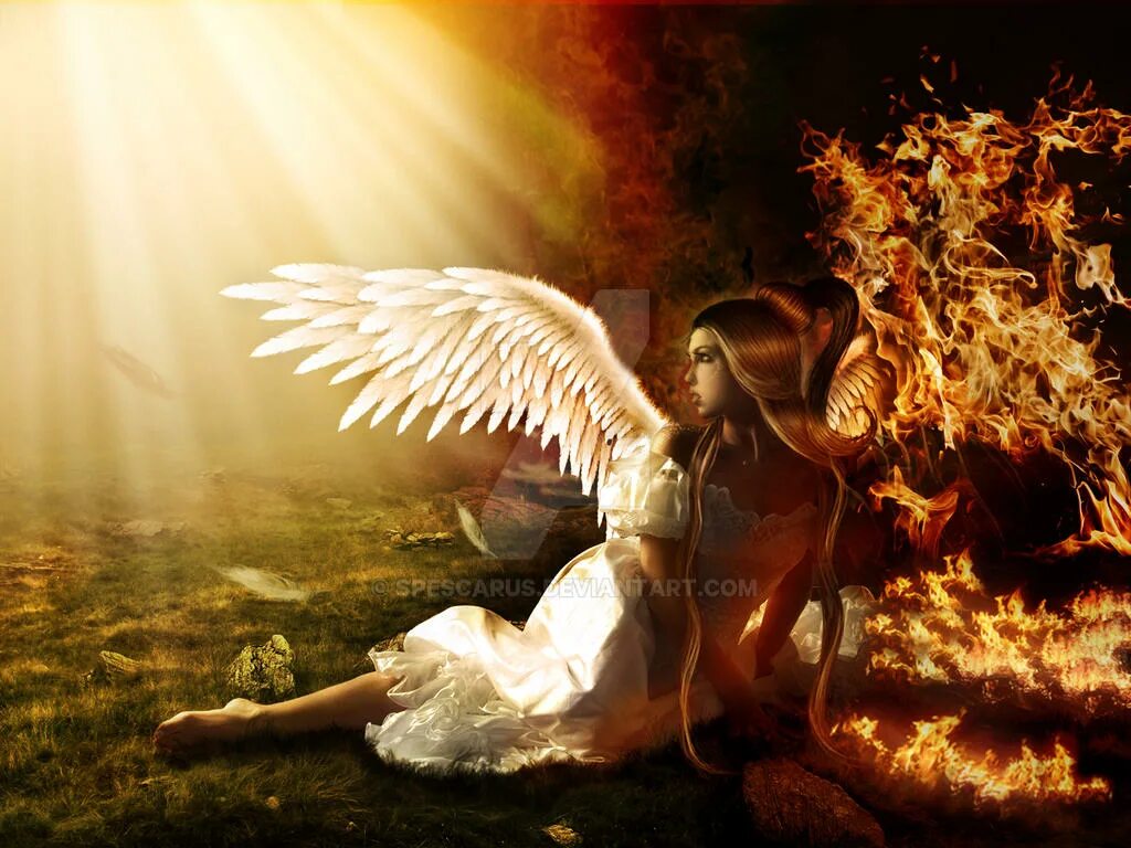 Falling angel s. Ангел в огне. Ангелочек.. В огне. Ангел в пламени. Ангел противоположность.
