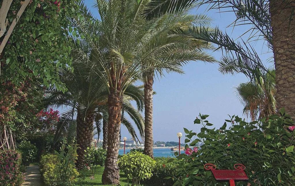 Отель rubi hotel 5. Rubi hotel 5 турция аланья. Rubi hotel 5 турция. Rubi hotel 5. Rubi hotel 5* авсаллар, алания, 50 м до моря.