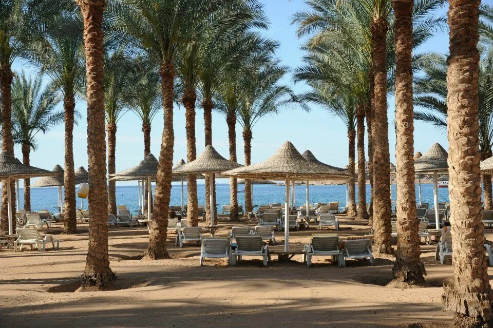 Dessole Seti Sharm Resort 4 Шарм-Эль-Шейх. Fun Sun Smart Seti Sharm 4 Египет Шарм-Эль-Шейх. Египет дессоле Сити Шарм. Dessole Seti Sharm Resort (Шарм-Эль-Майя).