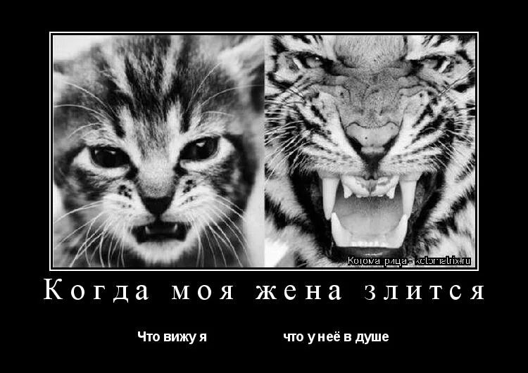 Многое поменялось. Будь самим собой. С возрастом меняется многое. Будь самим собой картинки. Ни под кого не подстраивайся.