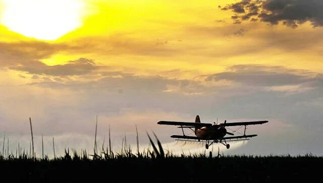 Ввс латвии. Ан-2 ввс латвии. кукурузник над полем картина.