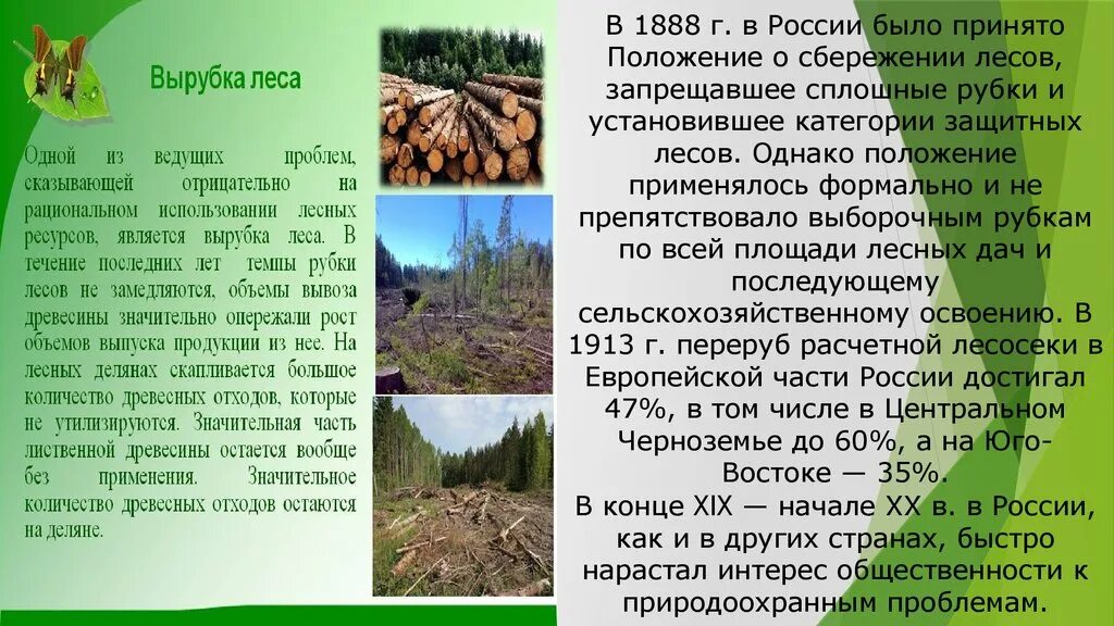 Использование защитных лесов. История охраны природы в нашей стране. защитные леса виды. категории защитных лесов. положение о сбережении лесов.