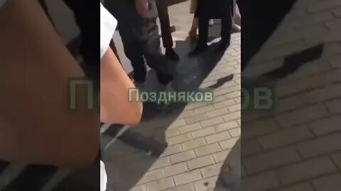 Тамаева избили