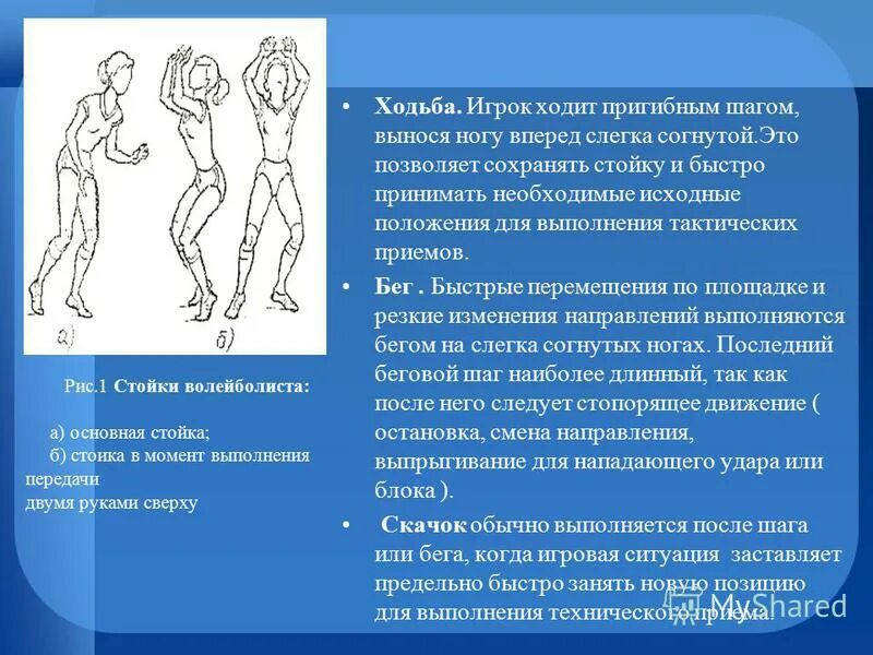 Почему нельзя ехать впереди покойника. Выносили ноги помогали боги дороги мои. Ленинград дороги мои дороги. Ленинград дороги клип. Выносили ноги помогали боги дороги мои.