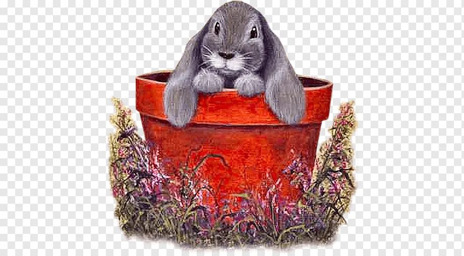Мультяшные зайчики. Клипарт зайки новый год. Розовые зайчики. Hiding easter bunny. Bunny tubes.