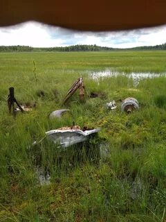 Улетел в болото