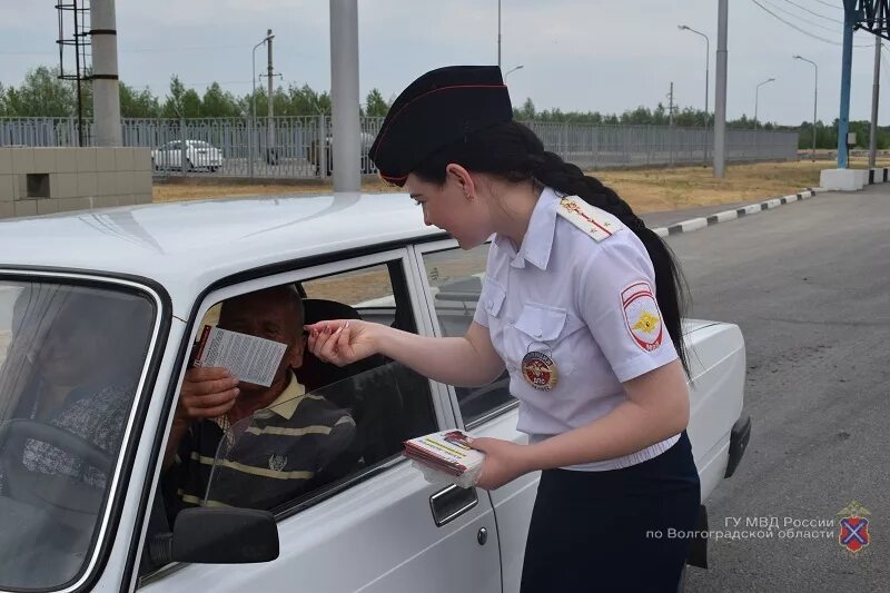 ГАИ Волгоград. ГИБДД Волгоградской области. Гибдд волгоград телефон