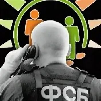 Msk org
