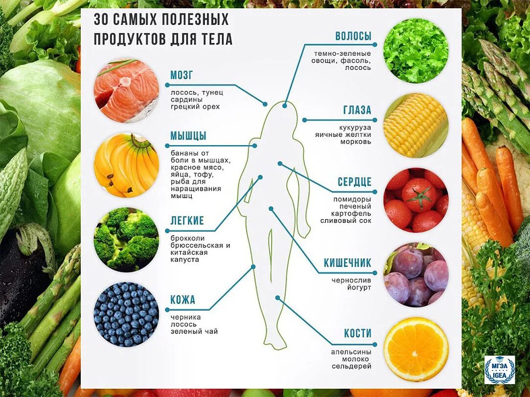 Наиболее полезные овощи и фрукты. Название полезных продуктов. Полезные овощи для организма. Самые полезные овощи. Из какого овоща делают