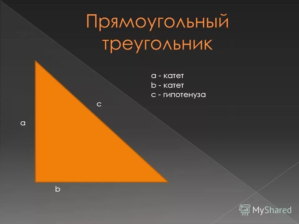 А нам говорят что катет короче гипотенузы