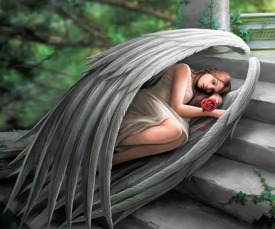 Энн Стоукс Anne Stokes. Ангел Асмодель. Девушка с крыльями. Девушка ангел с крыльями. Сонник обиженный