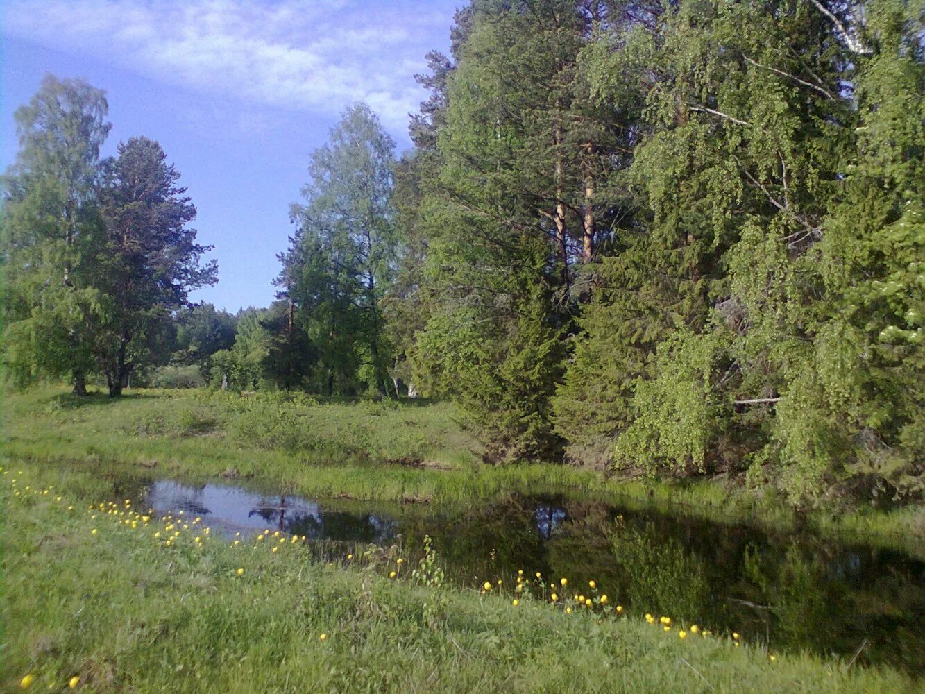 воробьевица костромская область. воробьевица костромской. река вохма костромская область. поселок воробьевица вохомского района костромской области. воробьевица костромская область.