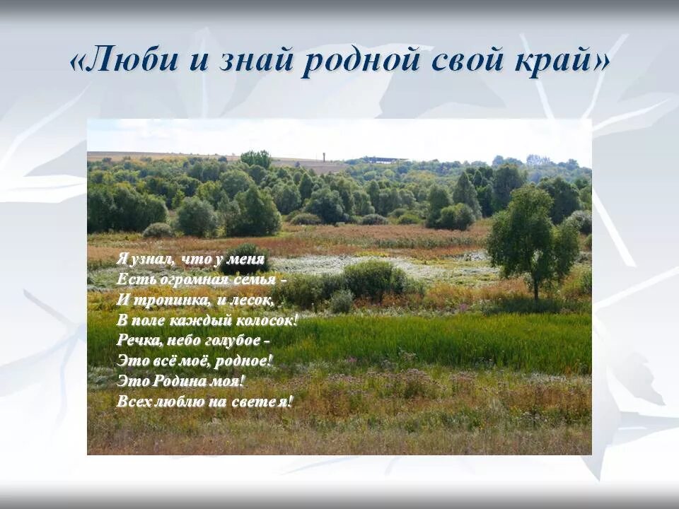 Предложения про край. Стихи о родном крае. Стихотворение Орадном крае. Мой край родной стихи. Стих родное.