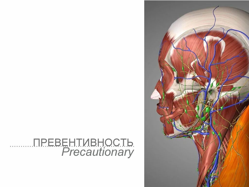 Превентивность что это. Принцип превентивность. Превентивность. Превентивность картинка. Превентивность что это такое простыми словами.