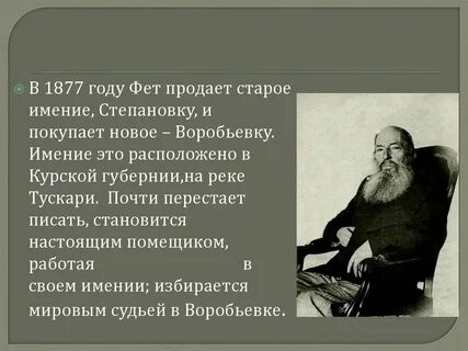 Очерк фета