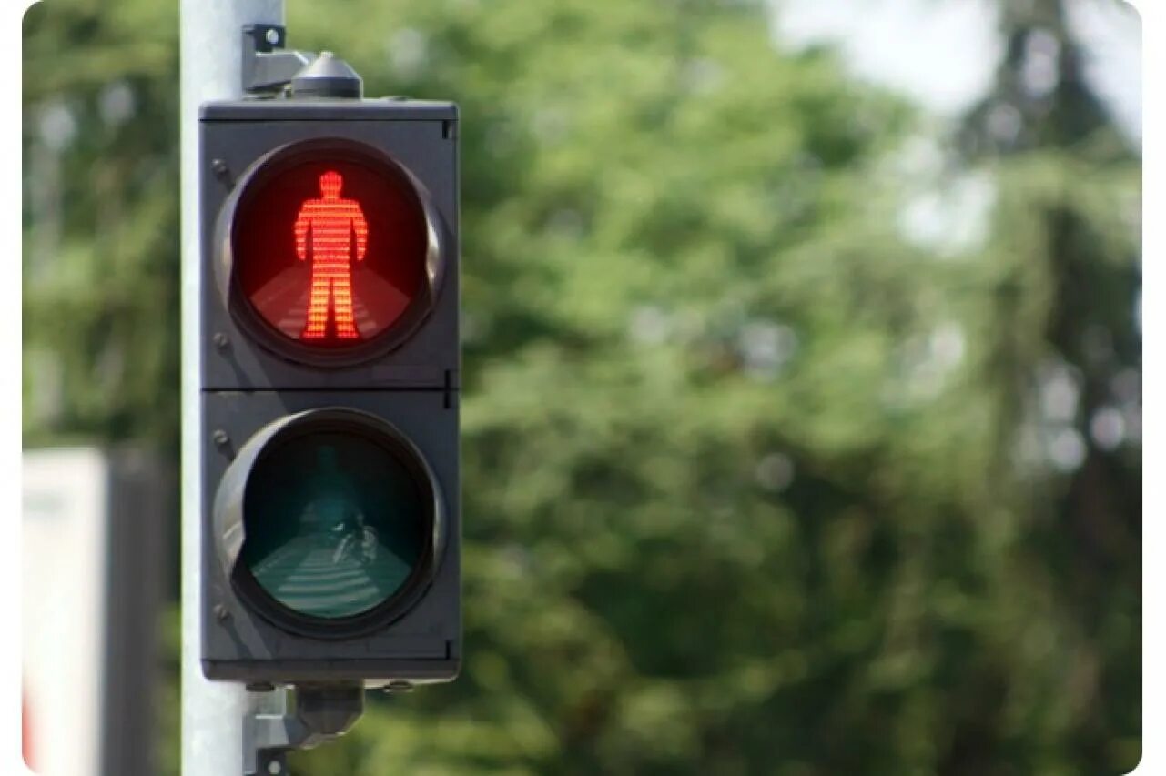 сколько горит светофор зеленый. светофор красный желтый зеленый. сигналы светофора. загорелся зеленый. сколько горит светофор зеленый.
