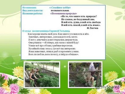 Интересы увлечение семьи