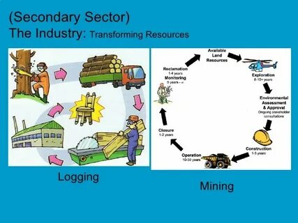 Job sectors