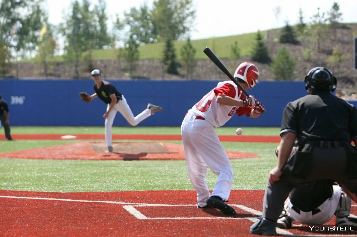 Бейсбол в Канаде. Sazonov Baseball. Бейсбол любительский. Бейсбол Олимпийский вид спорта.